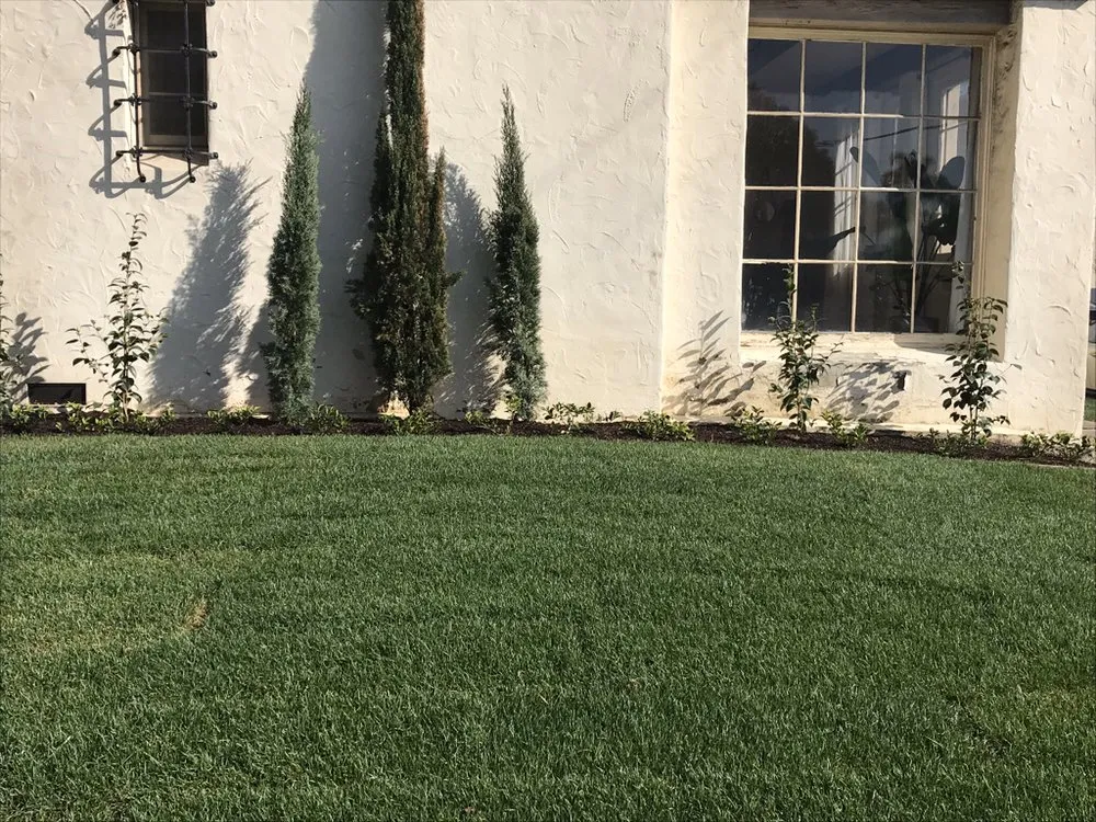 Professional residential landscaping with custom design in Los Angeles, CA by The Healthy Landscaping