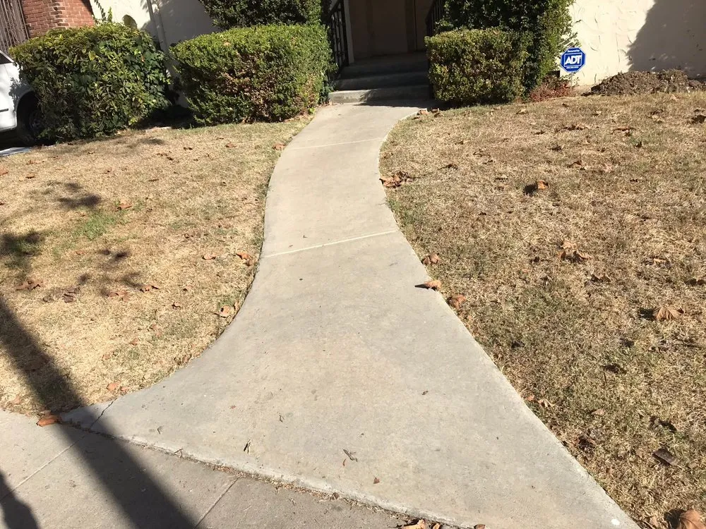 Professional lawn care service near you in Los Angeles, CA by The Healthy Landscaping