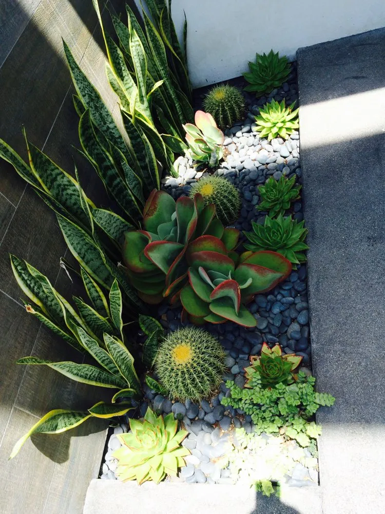 Custom yard maintenance in Los Angeles, CA by The Healthy Landscaping