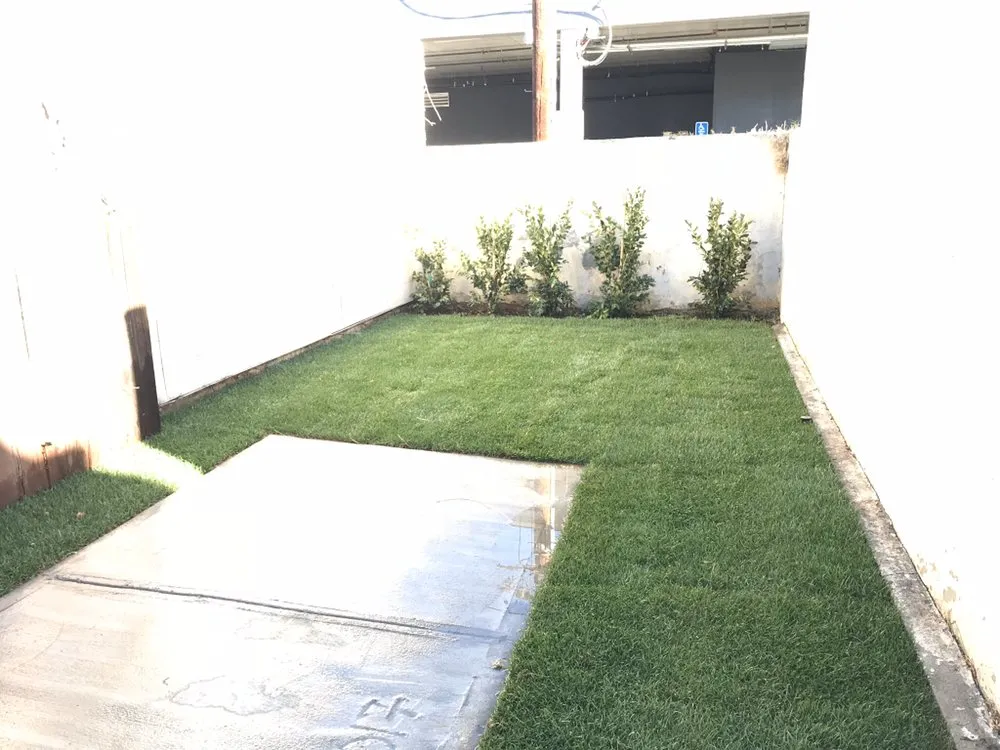 Local landscape installation in Los Angeles, CA by The Healthy Landscaping