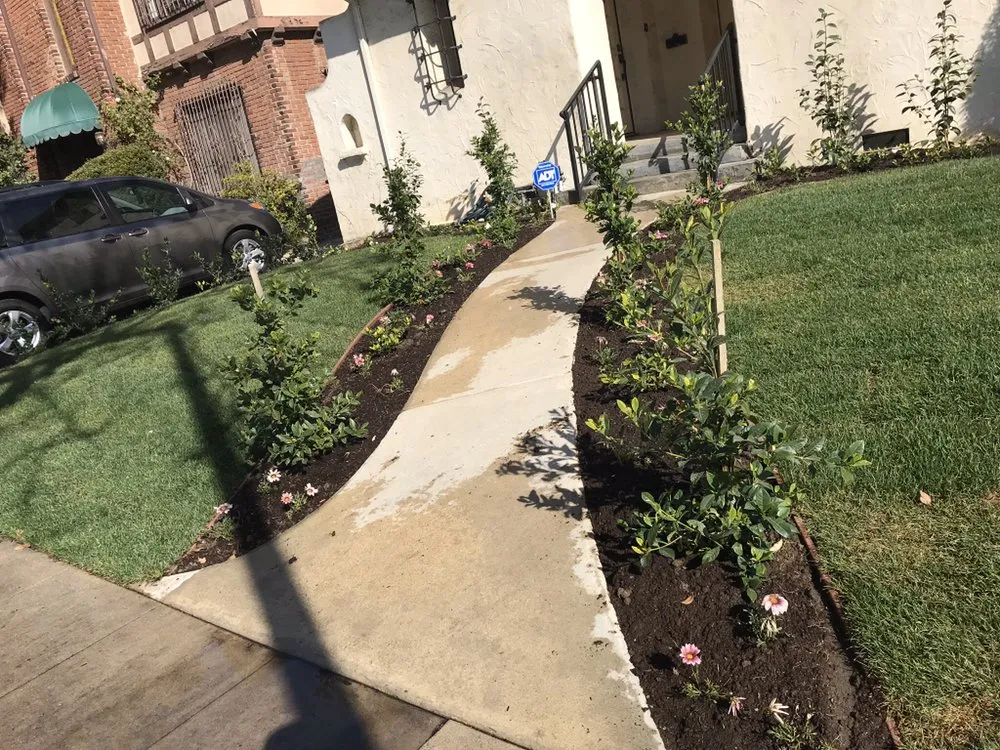 Top-rated outdoor landscaping for residential properties across Los Angeles, CA - The Healthy Landscaping