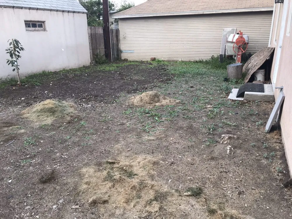 Local landscape design in Los Angeles, CA by The Healthy Landscaping