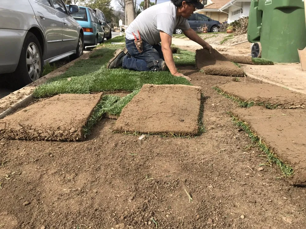 Local garden landscaping near you in Los Angeles, CA by The Healthy Landscaping