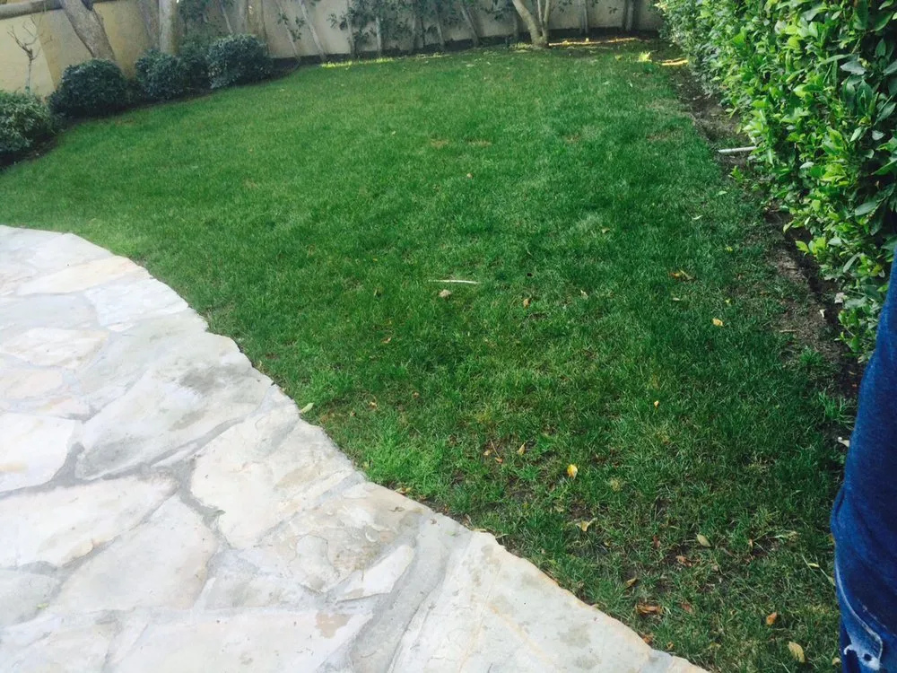 Professional landscape installation experts serving Los Angeles, CA - The Healthy Landscaping
