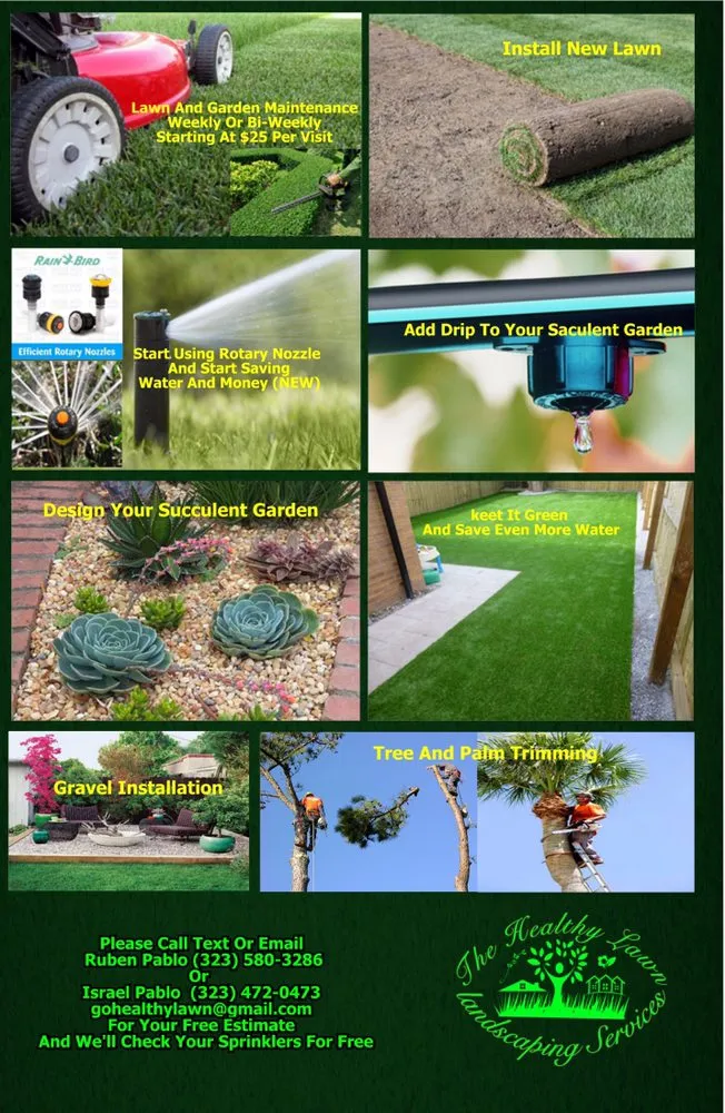 Affordable yard maintenance in Los Angeles, CA by The Healthy Landscaping