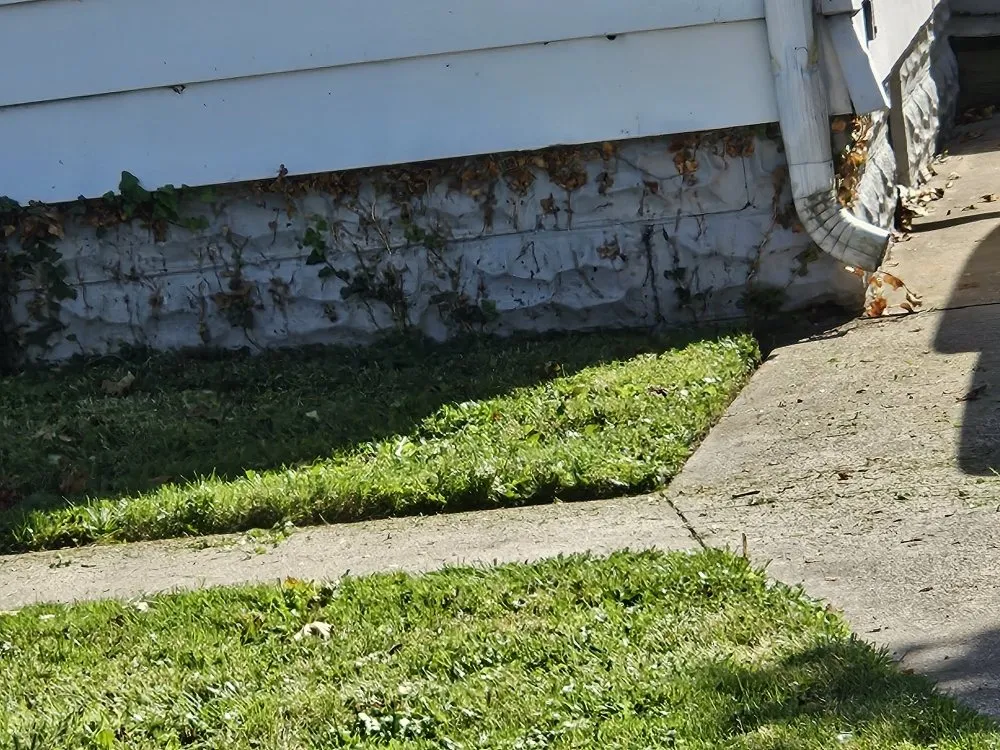 Top-rated yard maintenance in Erie, PA by The Helpful Hand Cleaning and Moving services