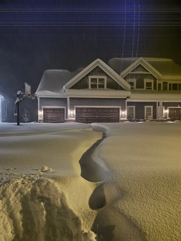 Affordable lawn care service experts serving Erie, PA - The Helpful Hand Cleaning and Moving services