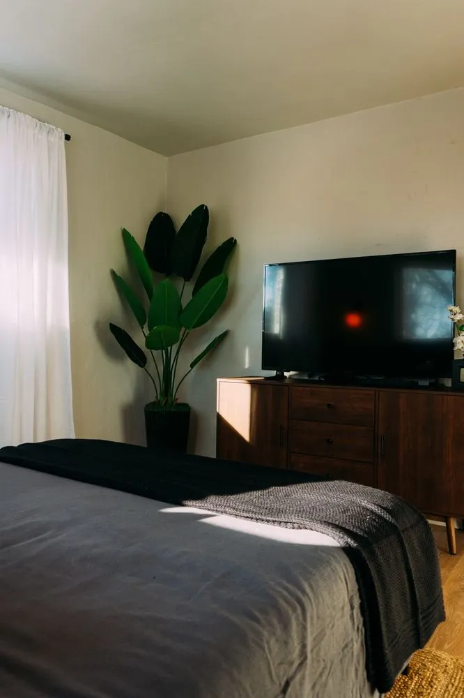 Trusted yard cleanup service in Boise, ID by The Helping Hand