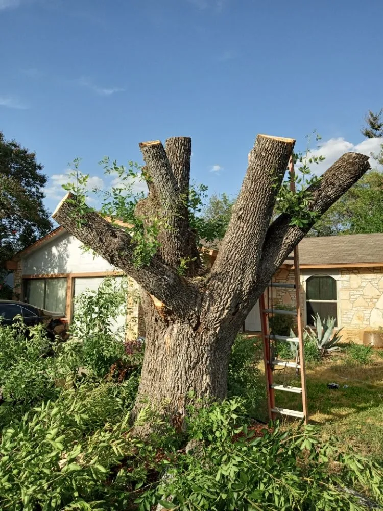 Trusted garden landscaping for homes across San Antonio, TX - The Helping Hand Tree Service & Landscaping