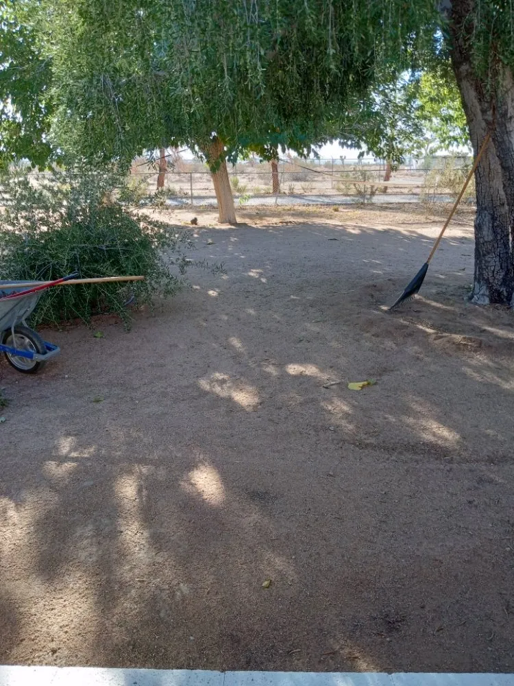 Expert outdoor landscaping for beautiful yards across Yucca Valley, CA - The Hero Enterprise