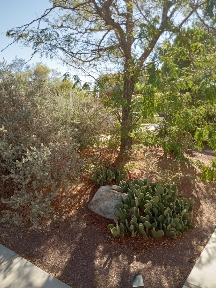 Reliable lawn mowing service experts serving Yucca Valley, CA - The Hero Enterprise