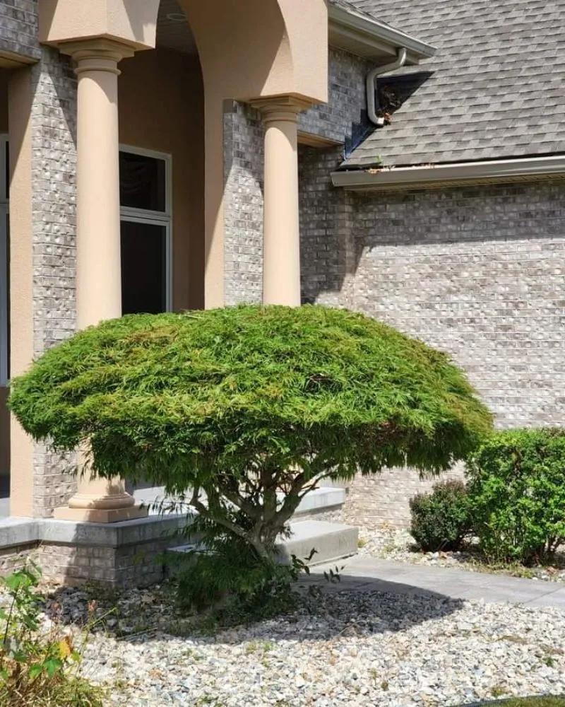 Custom yard cleanup service in Pflugerville, TX - The Hill Country Landscaping