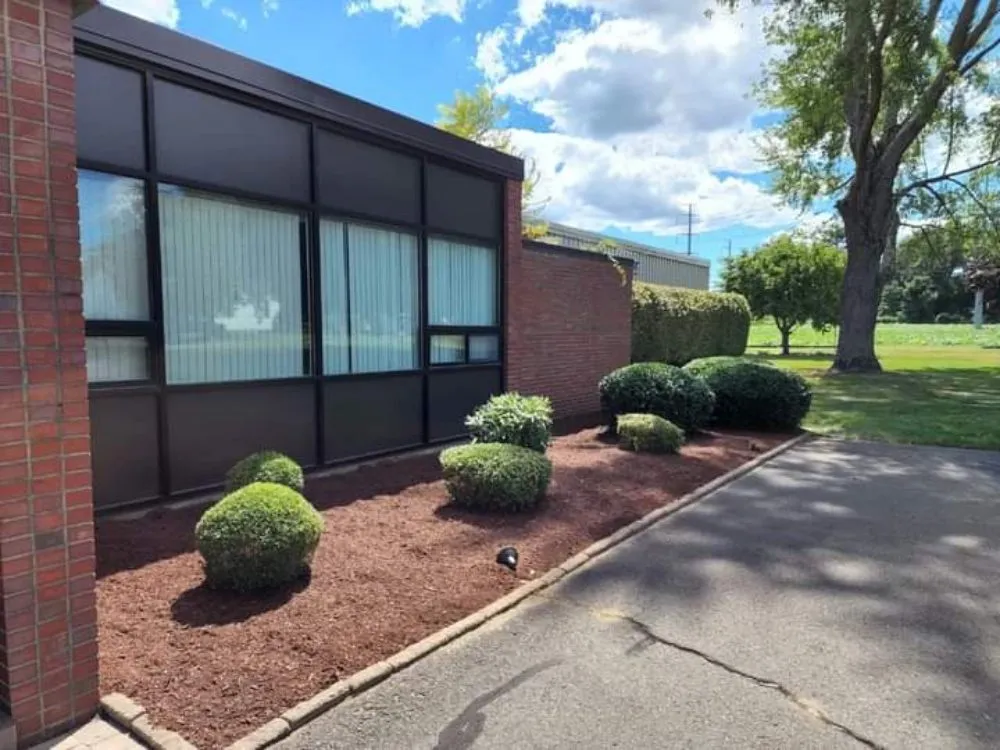 Reliable yard cleanup service in Pflugerville, TX by The Hill Country Landscaping