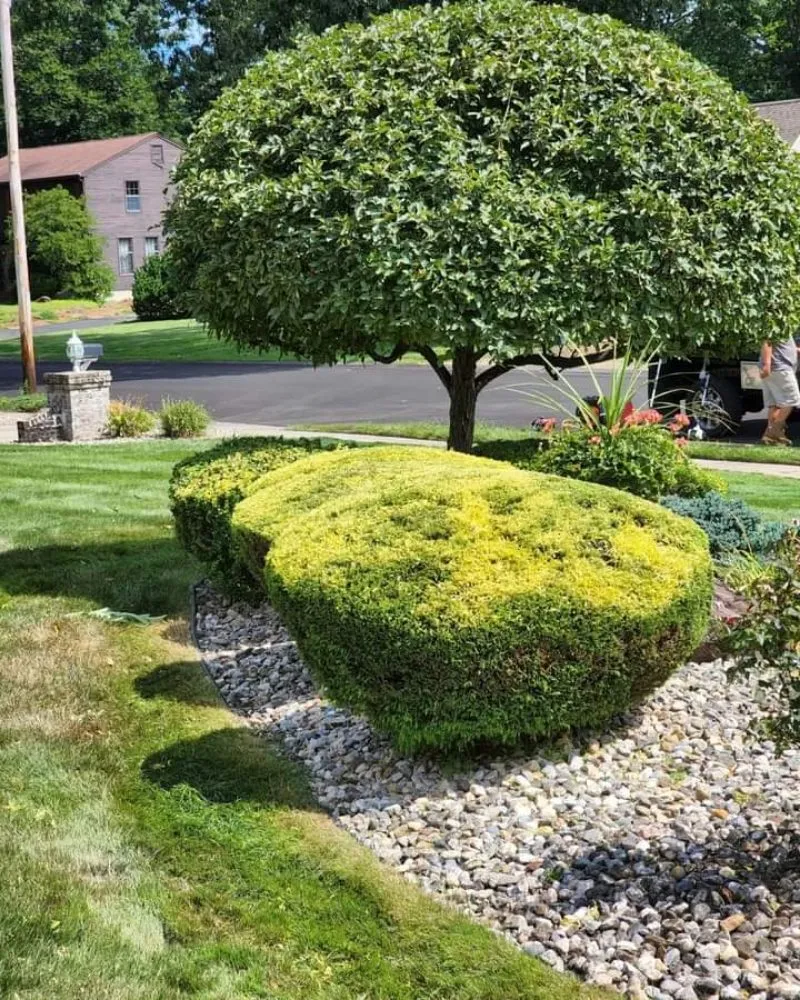 Expert lawn care service in Pflugerville, TX by The Hill Country Landscaping