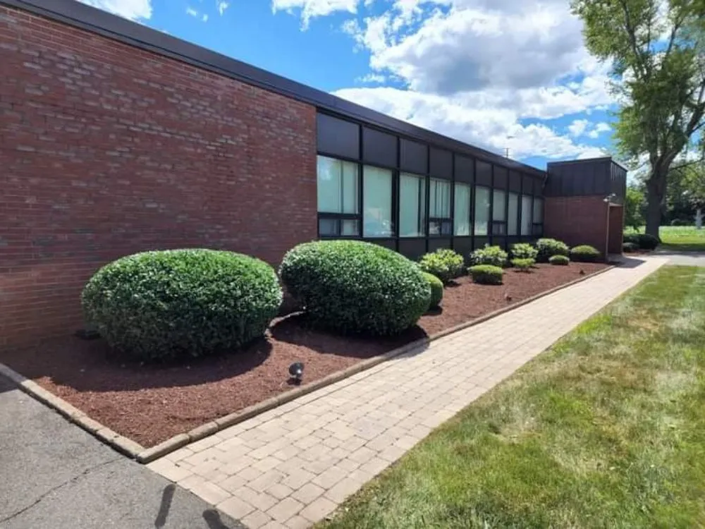 Reliable lawn care service with custom design in Pflugerville, TX by The Hill Country Landscaping