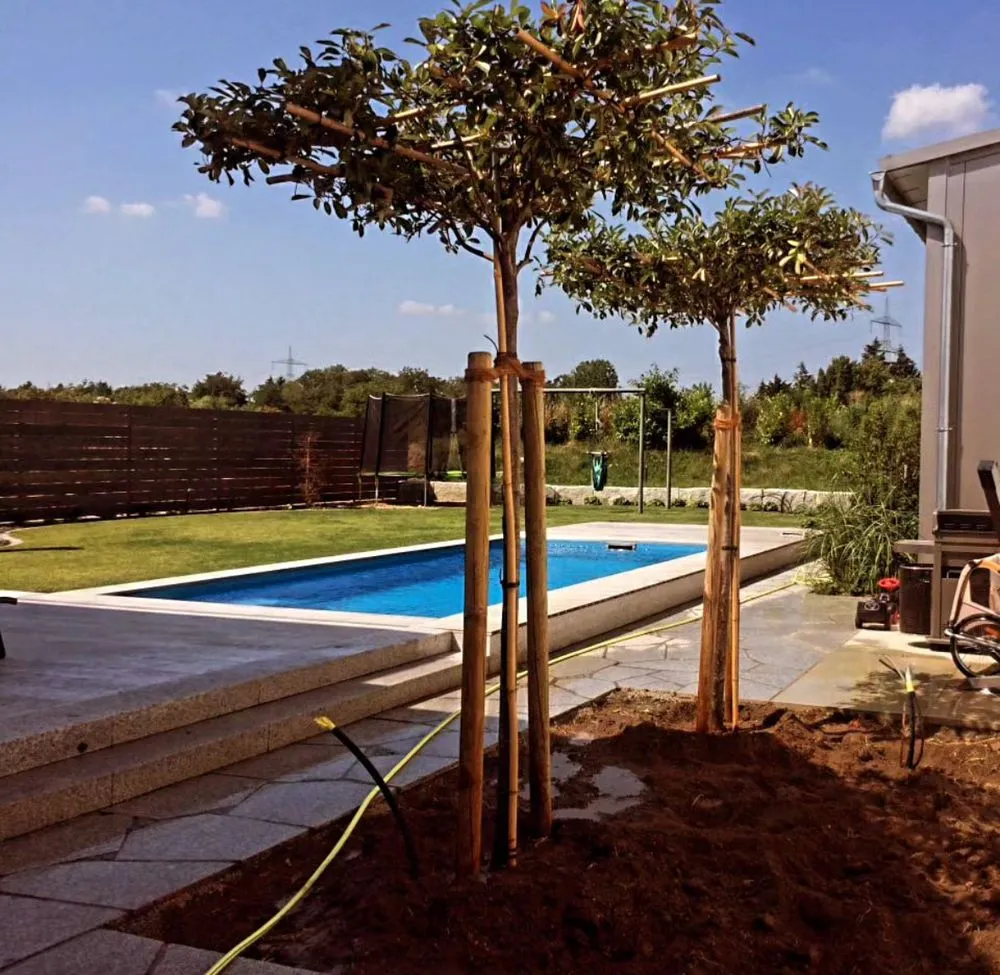 Trusted landscape installation for year-round maintenance across Sedro-Woolley, WA - The Hills Brothers Ecoscape