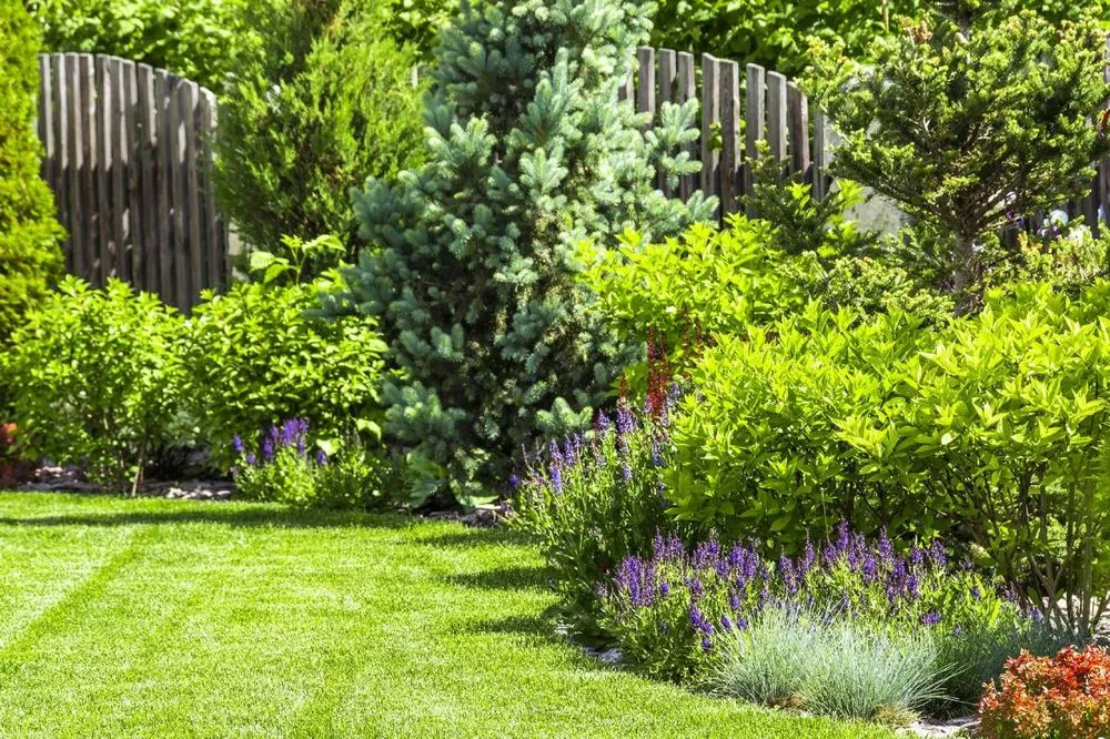 Top-rated residential landscaping in Springdale, AR - The Hog Lawn Care and Landscaping