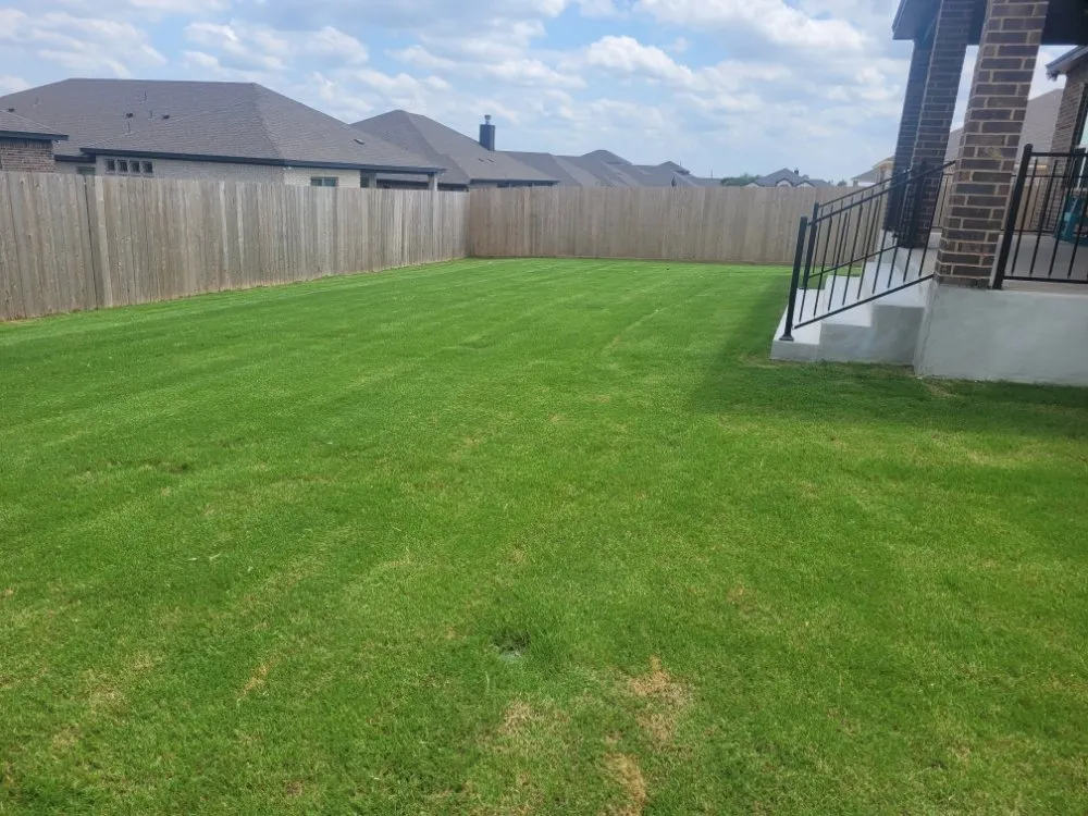 Trusted landscape design in Temple, TX - The Holiday Hero