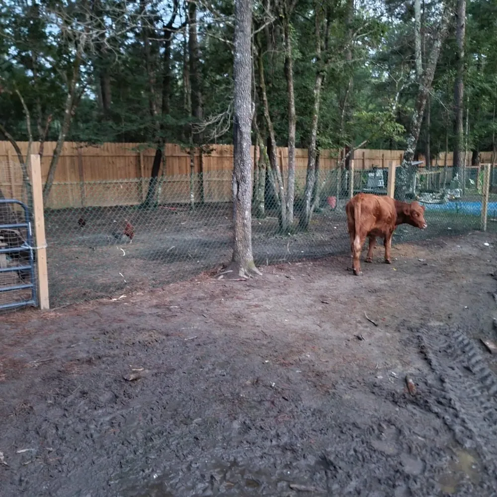 Affordable landscaping services in Bonneau, SC - The Homestead Cusick