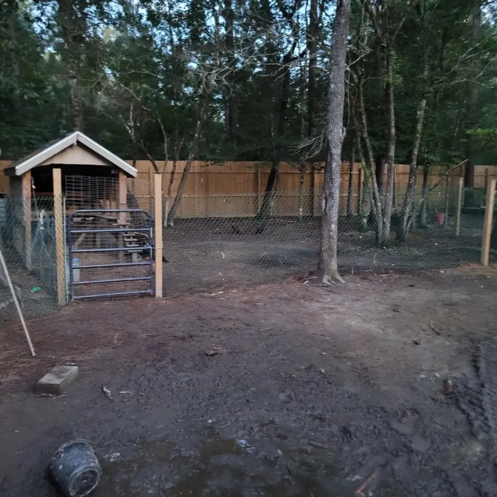 Affordable outdoor landscaping for year-round maintenance across Bonneau, SC - The Homestead Cusick