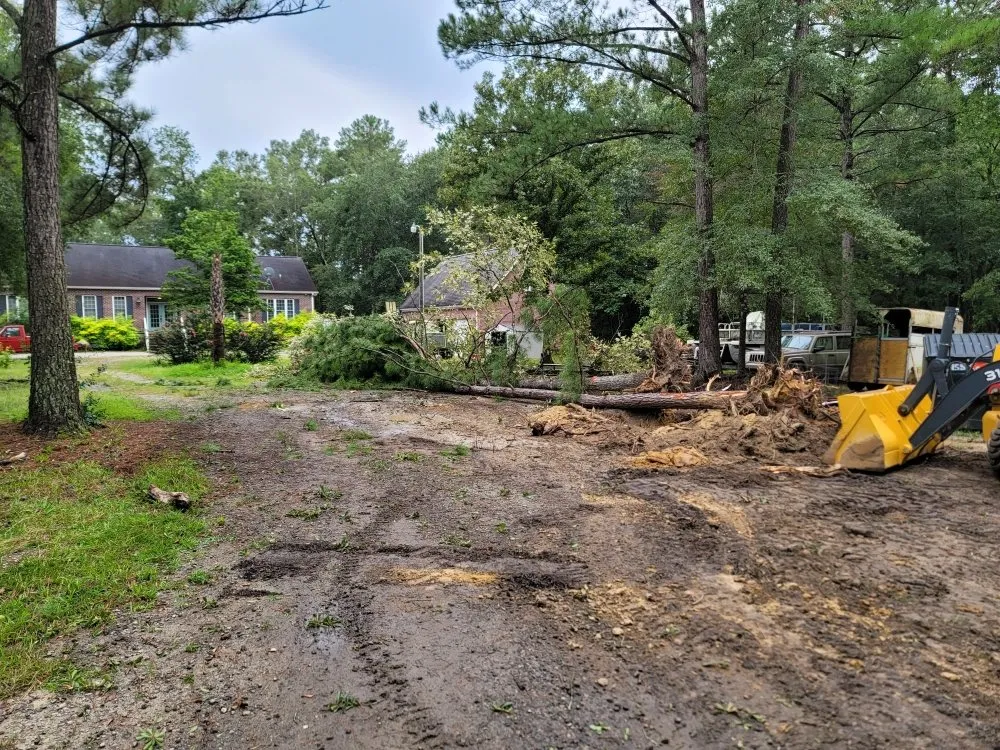 Custom yard maintenance in Bonneau, SC by The Homestead Cusick