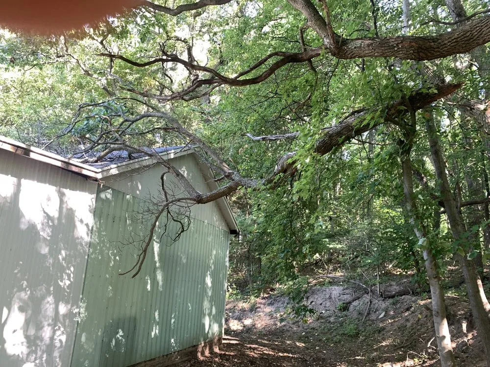 Reliable landscape design for homes across Grant, MI - The Honest Woodsman Tree Snow And Landscape