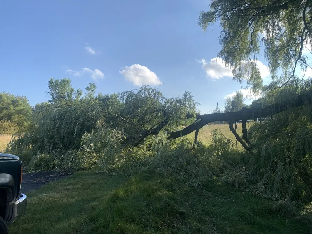 Professional garden landscaping in Grant, MI by The Honest Woodsman Tree Snow And Landscape