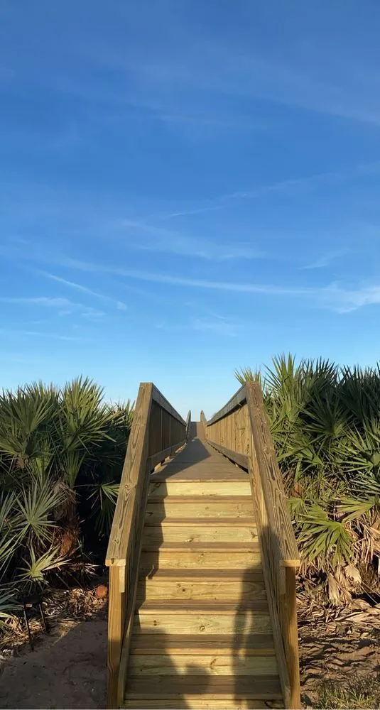 Trusted yard cleanup service for outdoor upgrades across Palm Coast, FL - The Honey Dewer