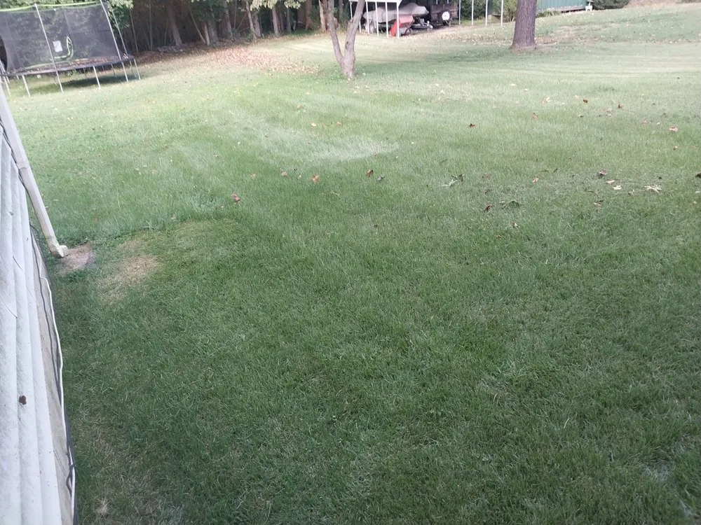 Custom yard cleanup service with custom design across Hopewell, VA - The Hughes People Lawn Care