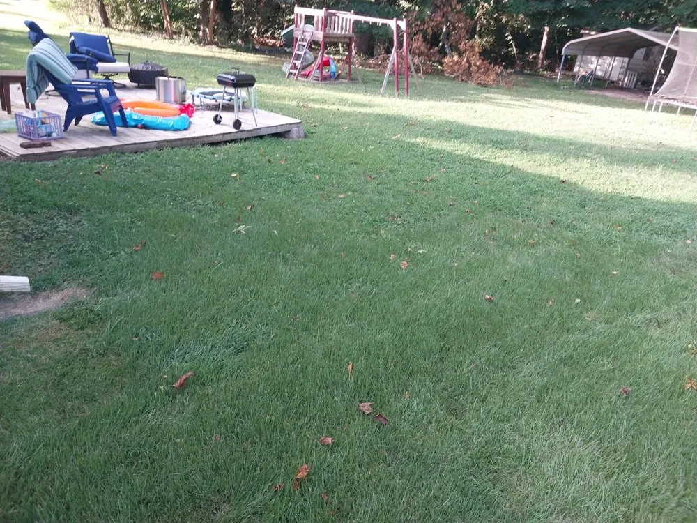 Affordable yard cleanup service in Hopewell, VA by The Hughes People Lawn Care