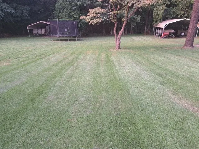 Expert yard cleanup service in Hopewell, VA - The Hughes People Lawn Care