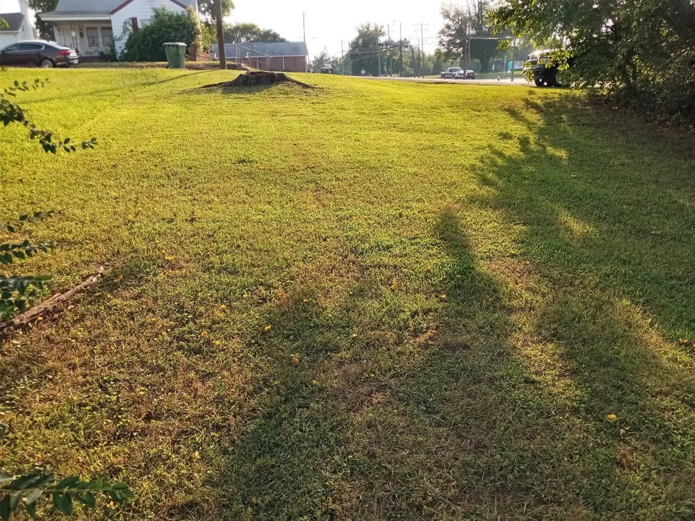 Local landscape design in Hopewell, VA - The Hughes People Lawn Care