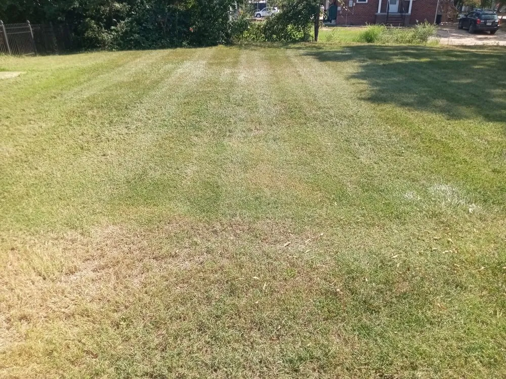 Reliable lawn care service for outdoor upgrades in Hopewell, VA by The Hughes People Lawn Care