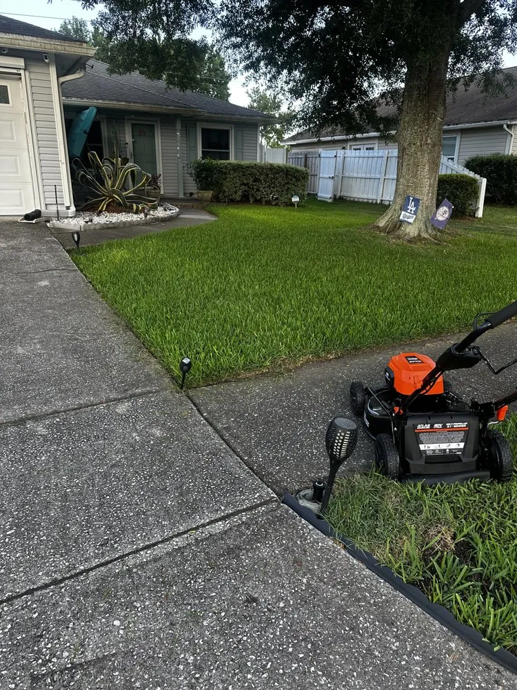 Custom yard cleanup service for year-round maintenance across Jacksonville, FL - The Humble Landscaper