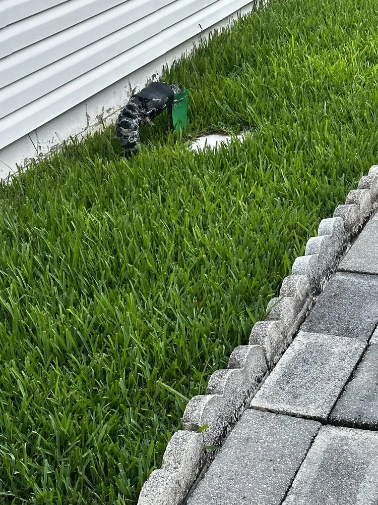 Reliable yard maintenance experts serving Jacksonville, FL - The Humble Landscaper