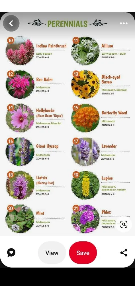 Professional landscape installation experts serving Des Moines, IA - The HummingBird LandScaping