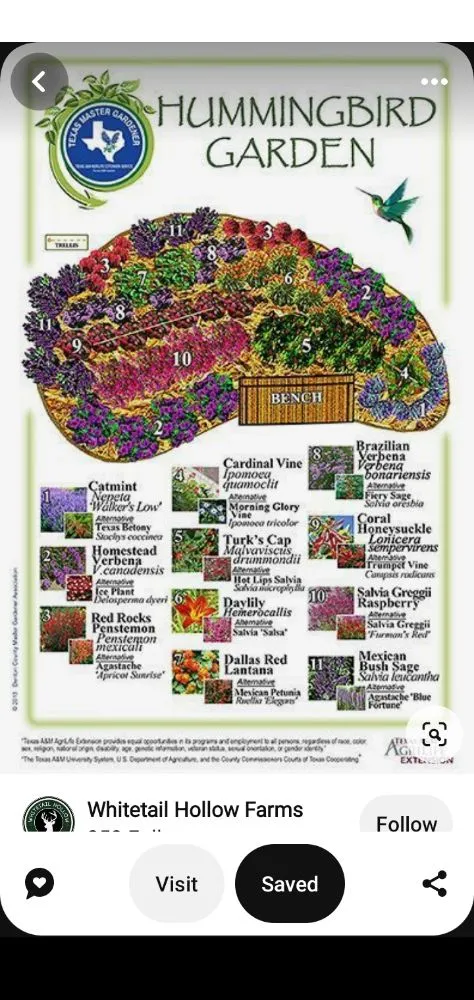 Local yard cleanup service in Des Moines, IA by The HummingBird LandScaping