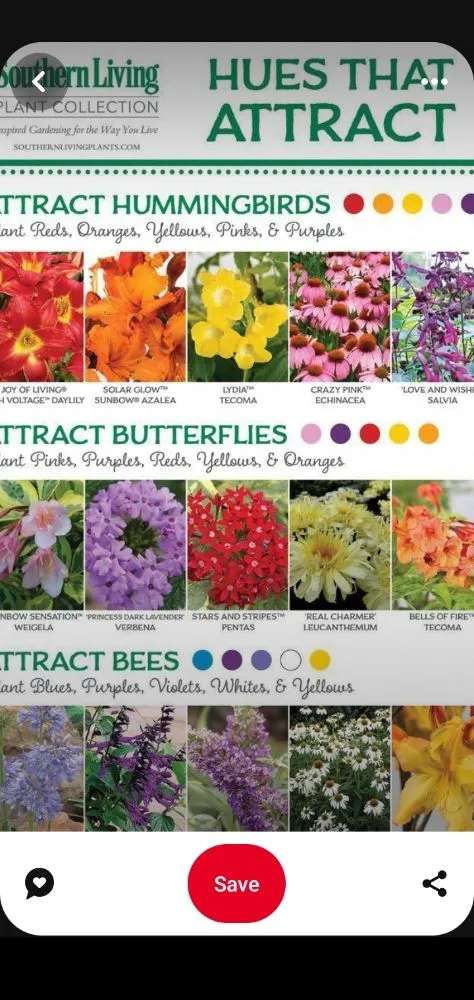 Trusted lawn care service in Des Moines, IA by The HummingBird LandScaping