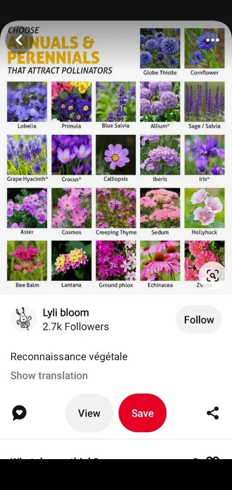 Affordable yard cleanup service for beautiful yards in Des Moines, IA by The HummingBird LandScaping