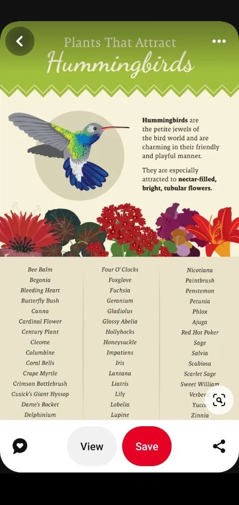 Local outdoor landscaping experts serving Des Moines, IA - The HummingBird LandScaping