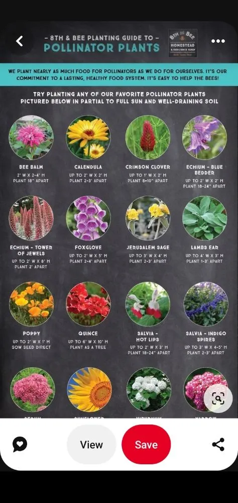 Affordable garden landscaping for residential properties across Des Moines, IA - The HummingBird LandScaping