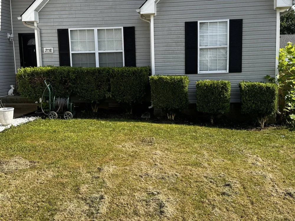 Reliable yard cleanup service for year-round maintenance across Clarksville, TN - The Huntsman Lawn Care