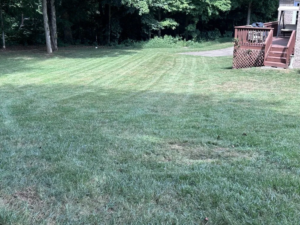 Professional yard cleanup service for homes in Clarksville, TN by The Huntsman Lawn Care