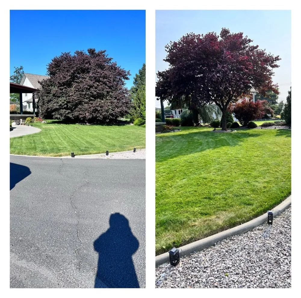 Affordable landscape design experts serving West Richland, WA - The In & Out Home Services