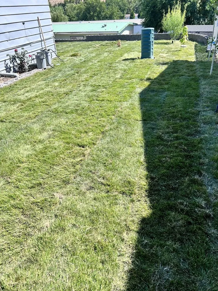 Local lawn care service near you across West Richland, WA - The In & Out Home Services