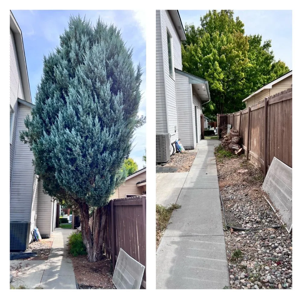 Reliable lawn mowing service in West Richland, WA - The In & Out Home Services