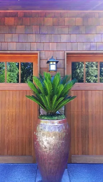 Local landscape design in Mercer Island, WA by The Interior Foliage Company