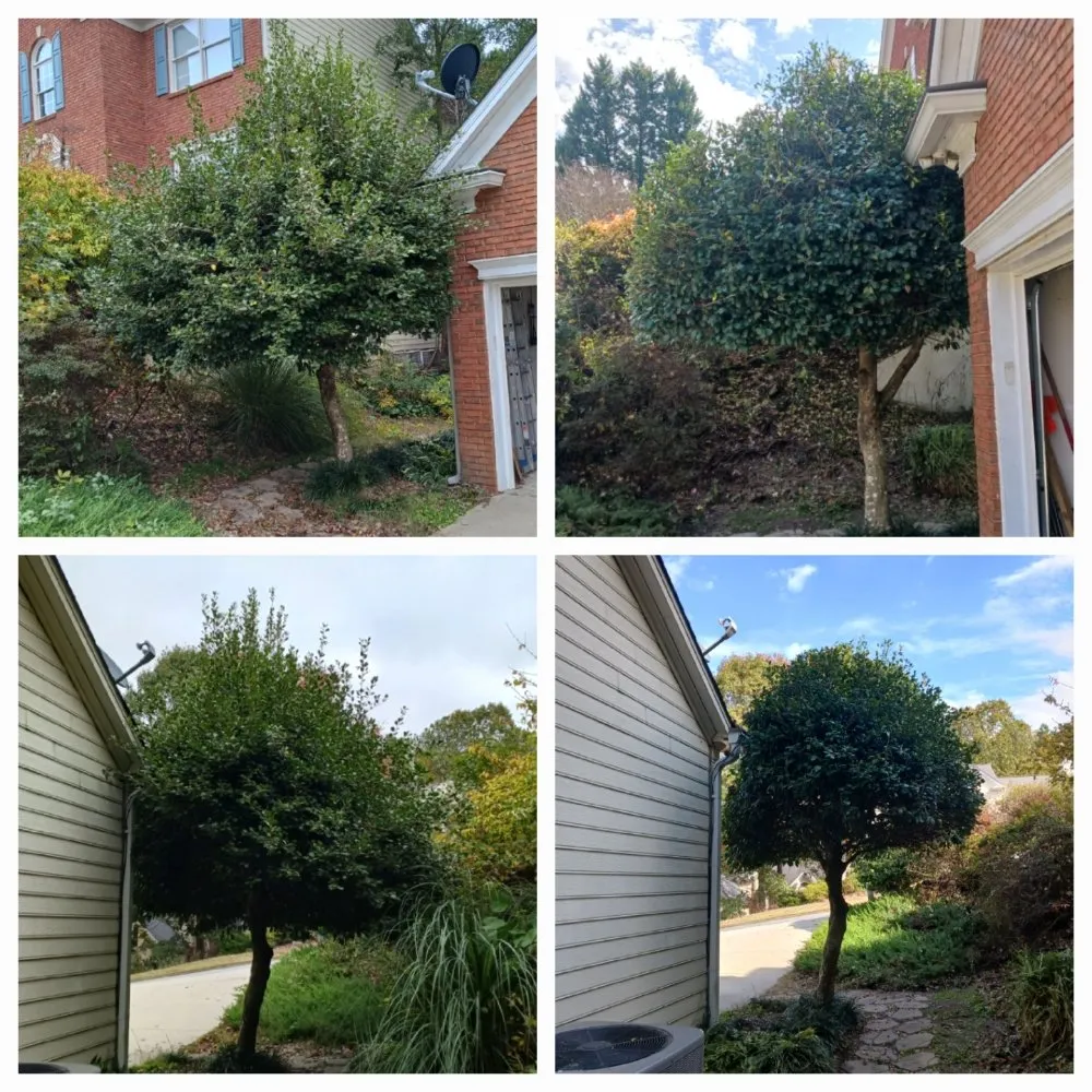 Local outdoor landscaping with custom design in Dahlonega, GA by The Irish Landscaper