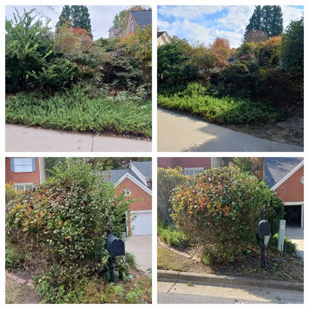 Top-rated lawn care service for year-round maintenance across Dahlonega, GA - The Irish Landscaper