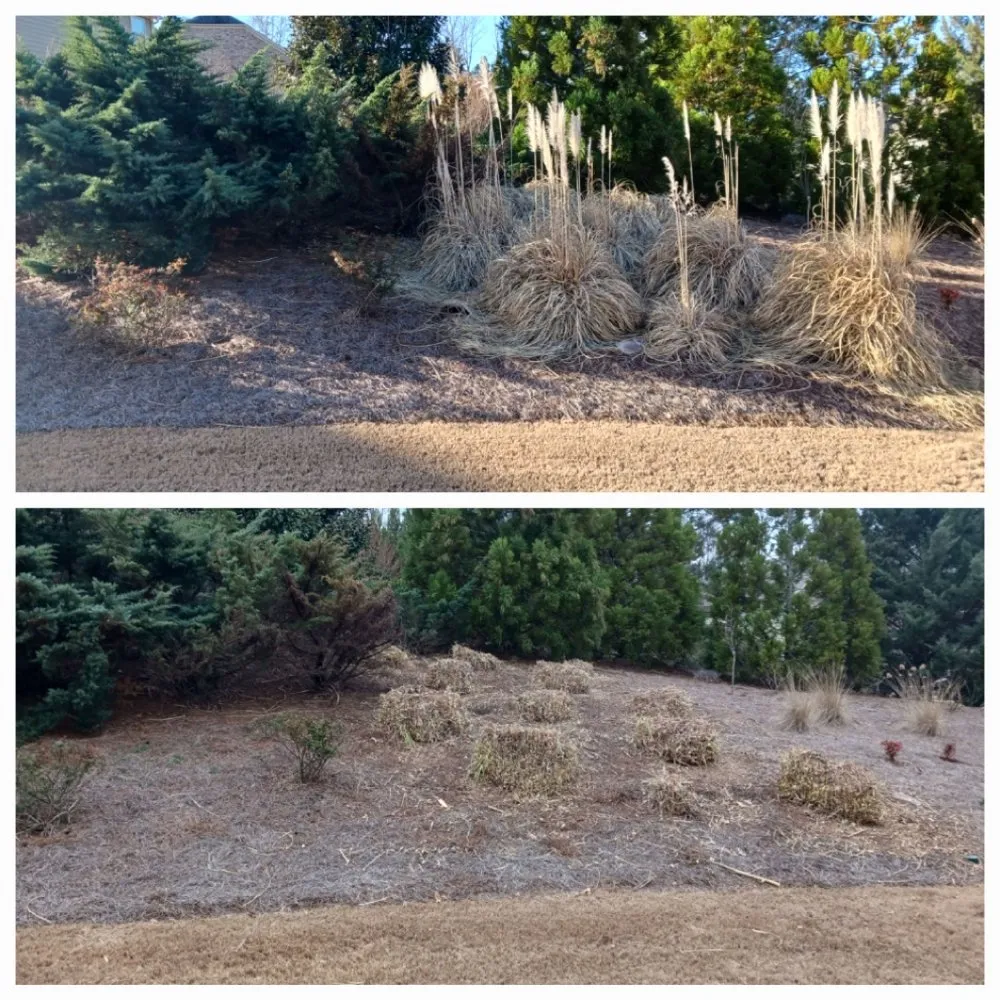 Custom outdoor landscaping for homes across Dahlonega, GA - The Irish Landscaper